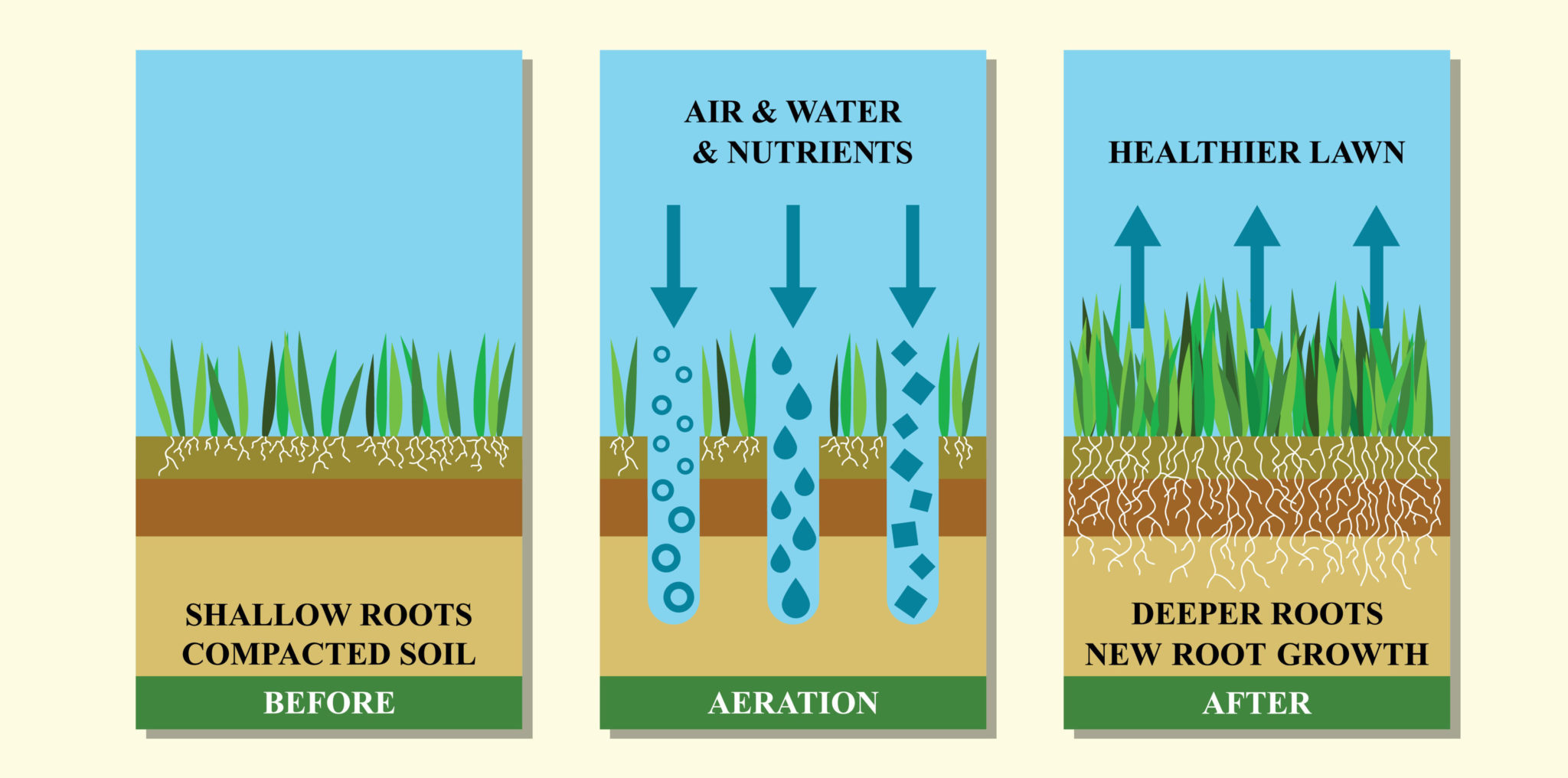 Compacted Soil | Lawn Doctor of Boston