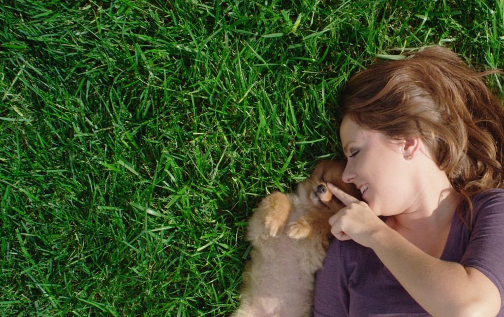 Pretty Woman playing with cute puppy on manicured green grass showing yard care services in Cary