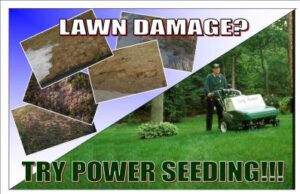 Lawn Fertilizer Service in Chattanooga