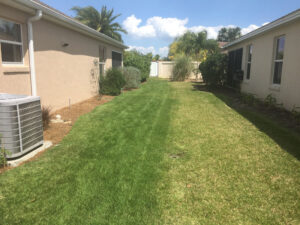 Local Lawn Care Service in Clermont