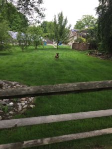 lawn fertilizer service Collegeville