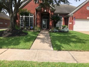 Lawn Fertilizer Service in Cape Coral