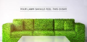 Local Lawn Care Service in Niceville