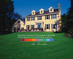 lawn treatment Keller pH Balancing infographic