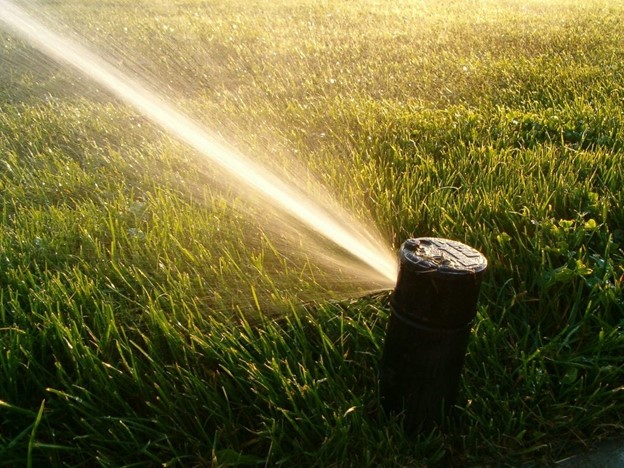 lawn sprinkler