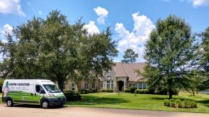 Local Lawn Care Service in Mandeville