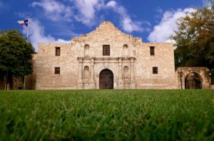 green grass in Boerne