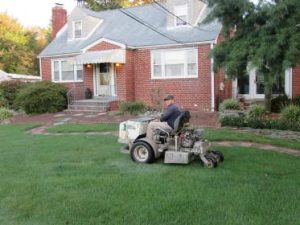 Lawn Weed Control in Lawrenceville