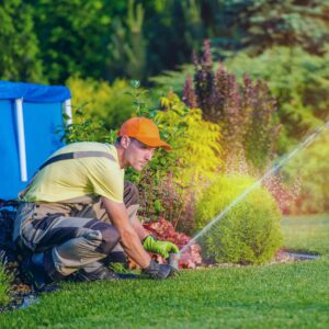 Local Lawn Care Service in Hudsonville