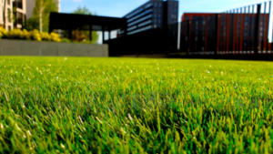 lawn care in Orem