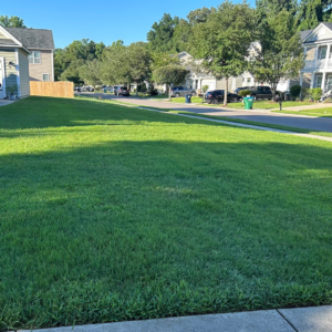 Lawn Maintenance in Summerville