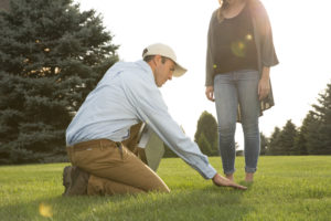 Lawn Doctor expert providing Lawn Fertilization in Teaneck