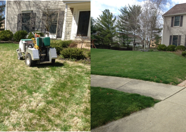 Lawn Care Services in Westerville OH | Lawn Doctor