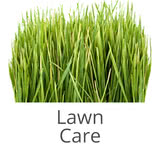 Lawn Care Services | Lawn Doctor