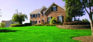 weed control service in Alpharetta 